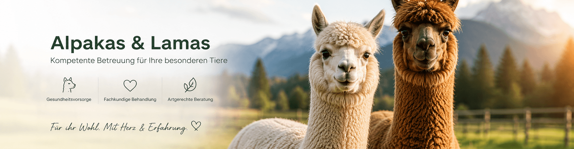 alpaka alpaka